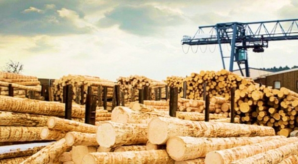 Wood Industry Facilities